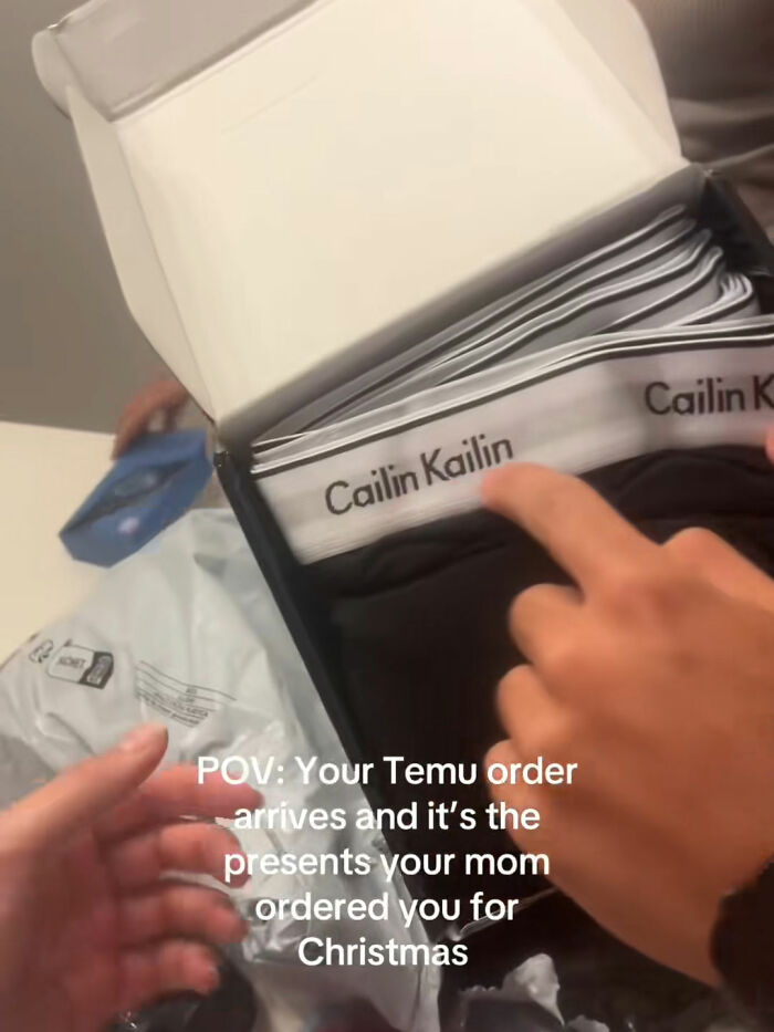 Wait, They Actually Bought This From Temu? The Funniest Online Shopping Oops!