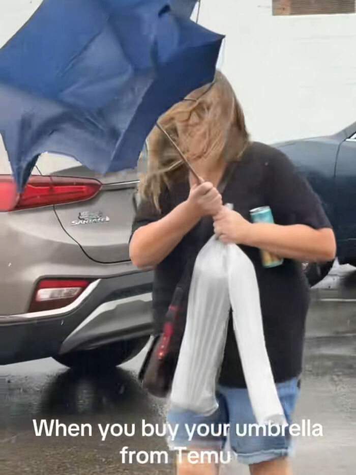 Wait, They Actually Bought This From Temu? The Funniest Online Shopping Oops!