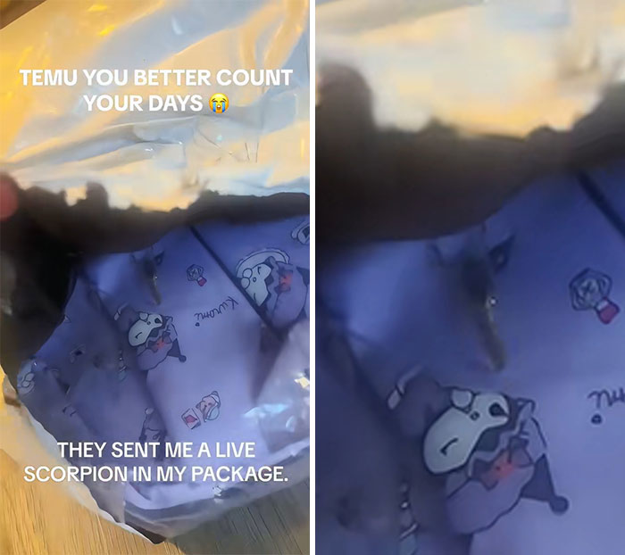 Wait, They Actually Bought This From Temu? The Funniest Online Shopping Oops!