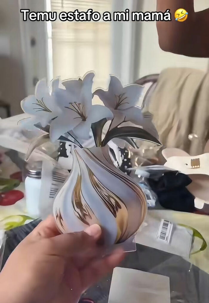 Wait, They Actually Bought This From Temu? The Funniest Online Shopping Oops!