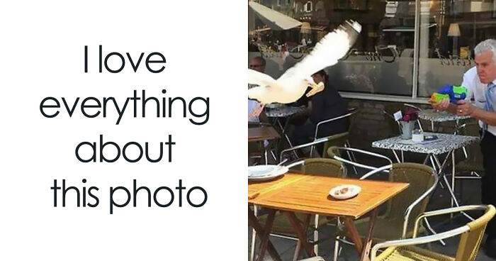 These 87 Clean Memes Are So Funny, You’ll Want To Tell Everyone (But It’s Okay If You Keep Them To Yourself)