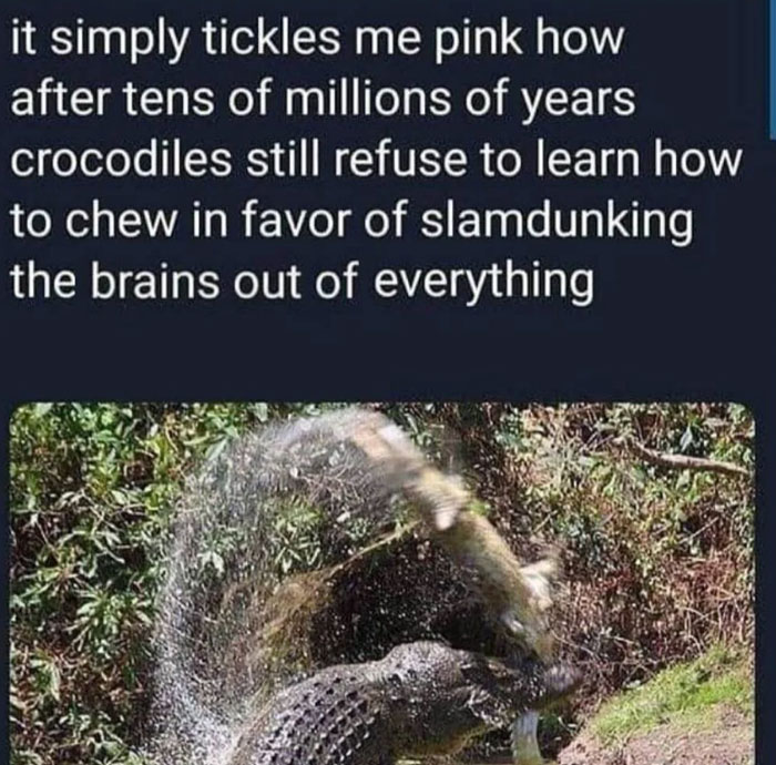 These 87 Clean Memes Are So Funny, You’ll Want To Tell Everyone (But It’s Okay If You Keep Them To Yourself)