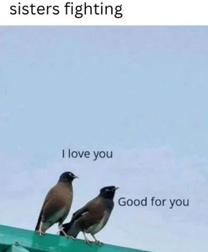 These 87 Clean Memes Are So Funny, You’ll Want To Tell Everyone (But It’s Okay If You Keep Them To Yourself)