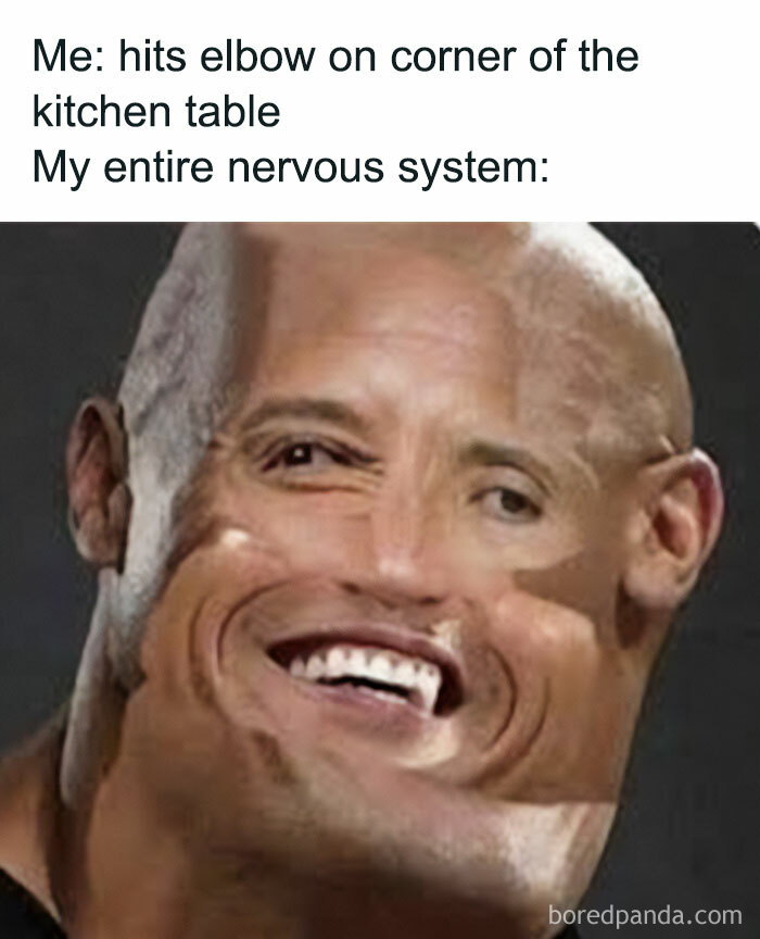 These 87 Clean Memes Are So Funny, You’ll Want To Tell Everyone (But It’s Okay If You Keep Them To Yourself)