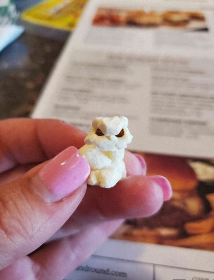 Owl Popped Out Of My Popcorn!