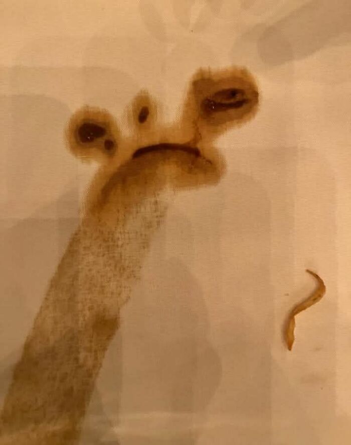 Wait, Are Those Faces? 81 Weirdly Funny Faces People Found In Totally Random Stuff