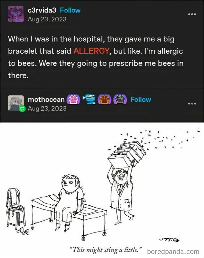 Definitely Not The Bees