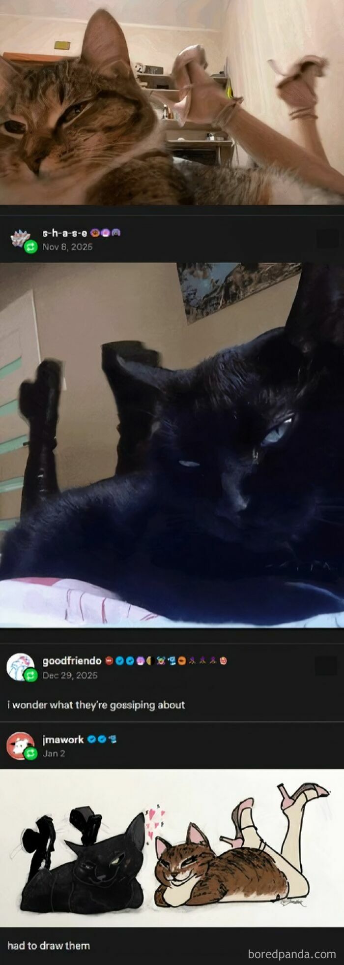 Credit: Jmawork | Ig