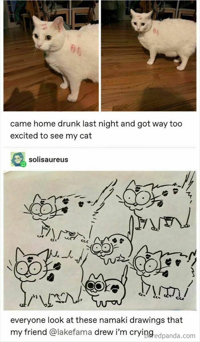 The ‘Right Amount’ of Cat Excitement