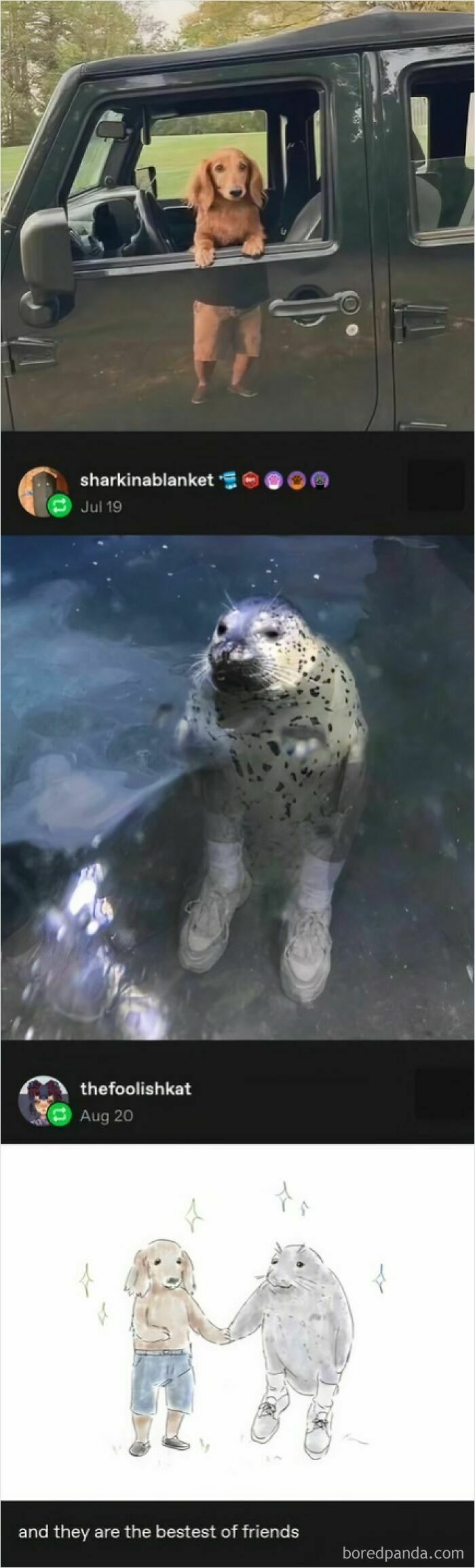 Water Puppy & Land Seal Besties