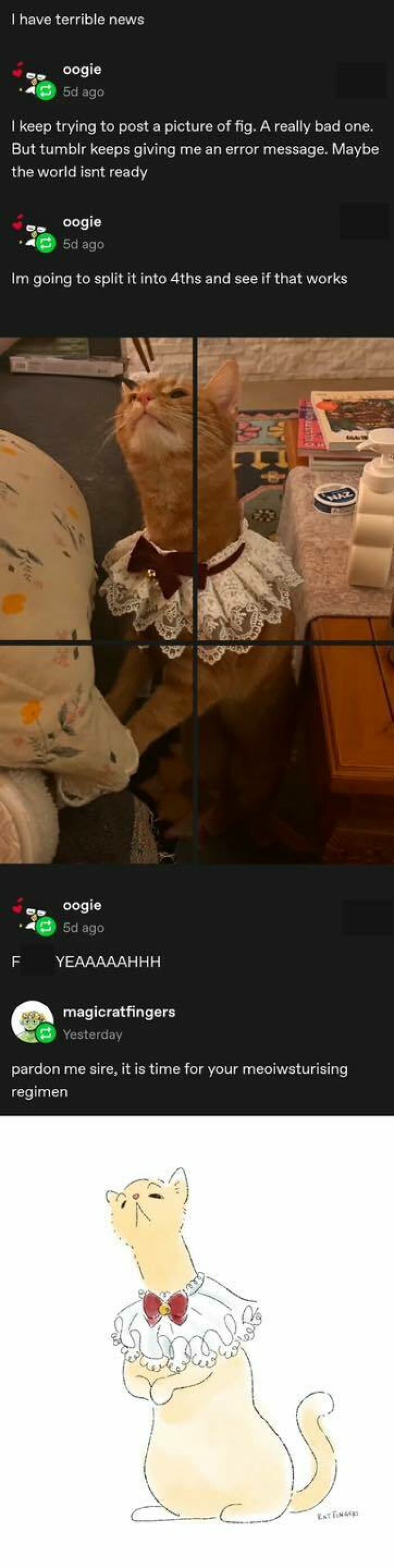 "Pawdon Me Sire." Credit: Magicratfingers | Tumblr