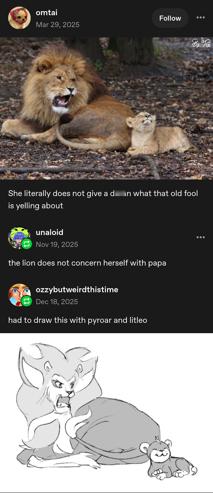 The Lion Ignores Dad’s Opinions