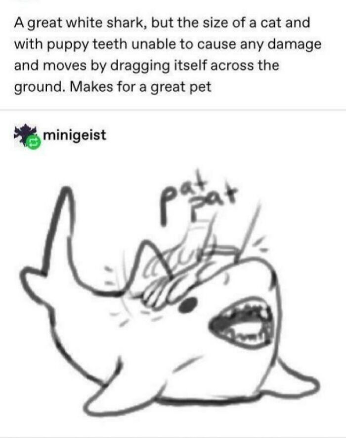 Wear Gloves When Booping Sharks!