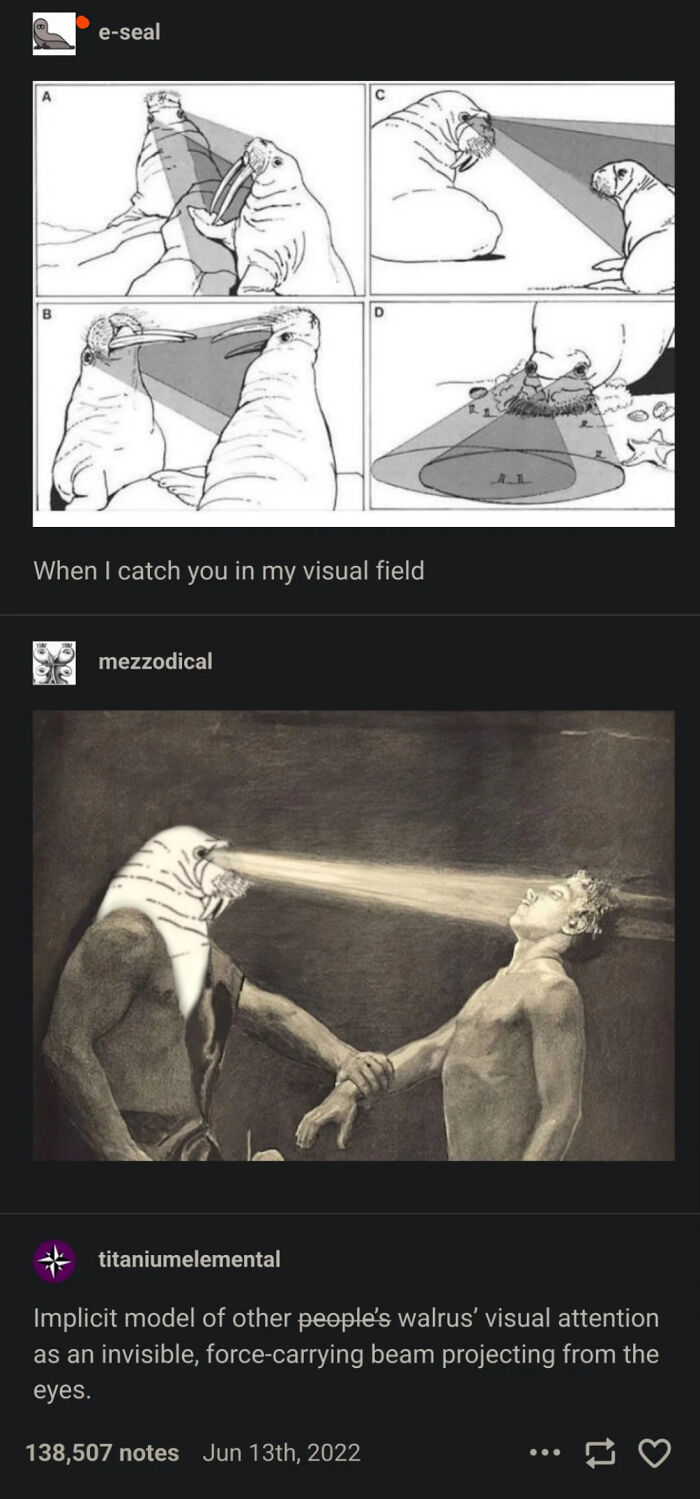 Lmao Get Walrus-Beamed Idiot