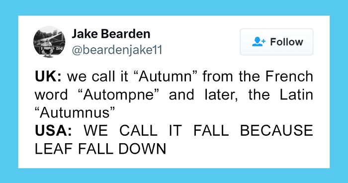 The Funny and Weird Truth About Life in America Right Now