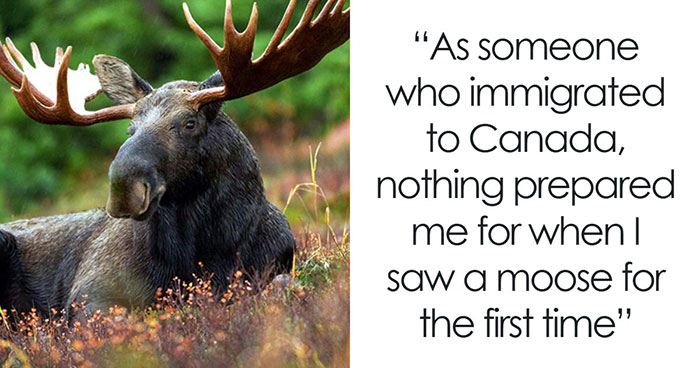 43 Everyday Things That Secretly Pack a Punch (Who Knew?!).