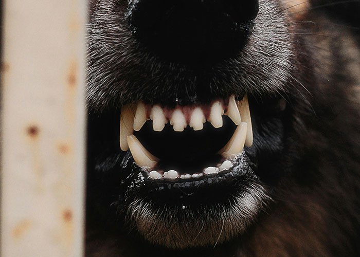 43 Everyday Things That Secretly Pack a Punch (Who Knew?!).