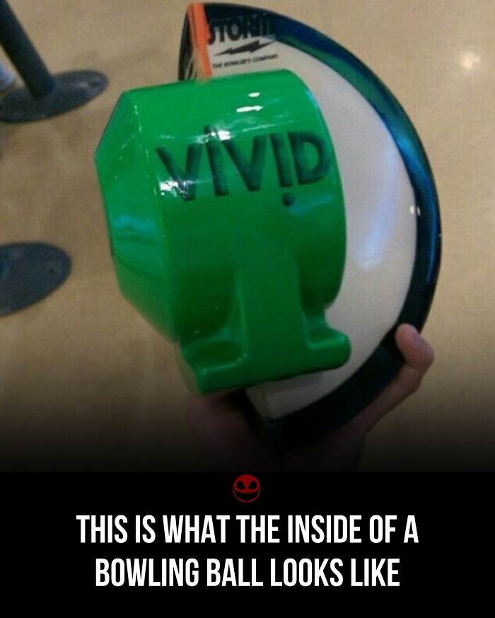 Wait, They Actually Posted These Weirdo Pics? 43 Odd & Creepy Facts You Won’t Believe