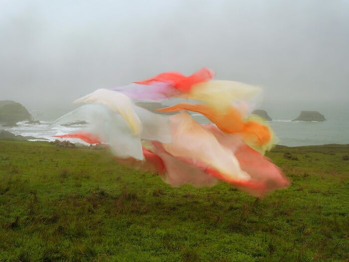 Wait, This Guy Just Tossed Fabric Into Nature and It Looked Like Magic (40 Pics)