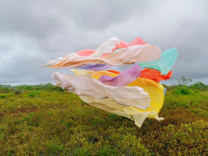 Wait, This Guy Just Tossed Fabric Into Nature and It Looked Like Magic (40 Pics)