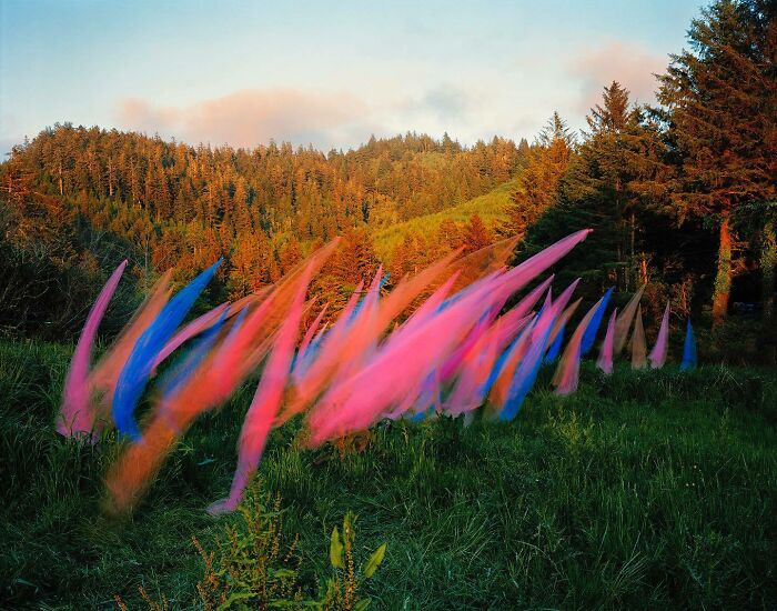 Wait, This Guy Just Tossed Fabric Into Nature and It Looked Like Magic (40 Pics)
