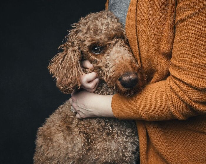Wait, They Actually Took 40 Adorable Rescue Dog Photos With Their Humans?!