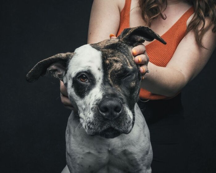 Wait, They Actually Took 40 Adorable Rescue Dog Photos With Their Humans?!