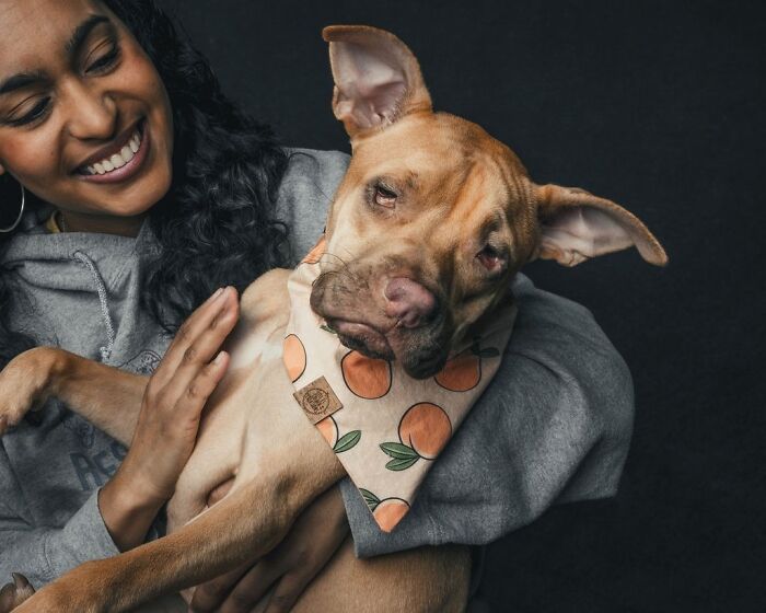 Wait, They Actually Took 40 Adorable Rescue Dog Photos With Their Humans?!