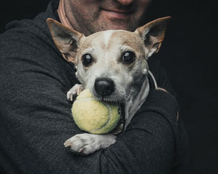 Wait, They Actually Took 40 Adorable Rescue Dog Photos With Their Humans?!