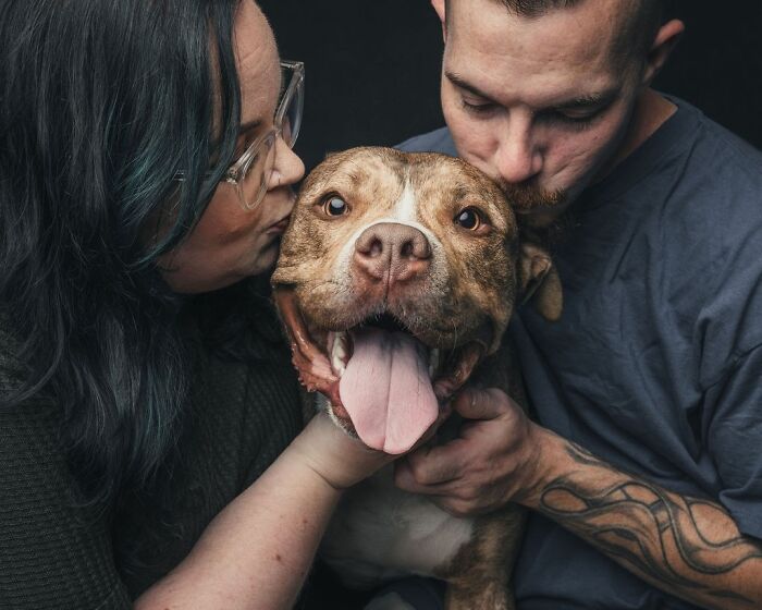 Wait, They Actually Took 40 Adorable Rescue Dog Photos With Their Humans?!