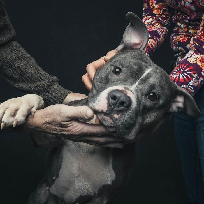 Wait, They Actually Took 40 Adorable Rescue Dog Photos With Their Humans?!