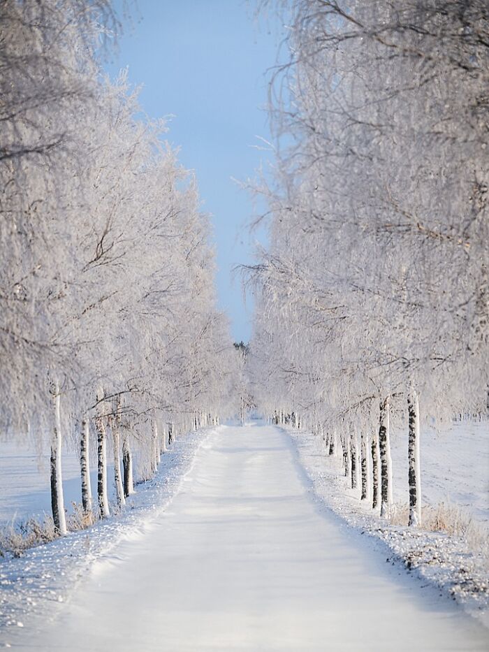 Wait, They Actually Took Pictures THIS Stunning of Finland's Northern Lights?