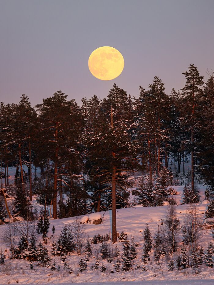 Wait, They Actually Took Pictures THIS Stunning of Finland's Northern Lights?