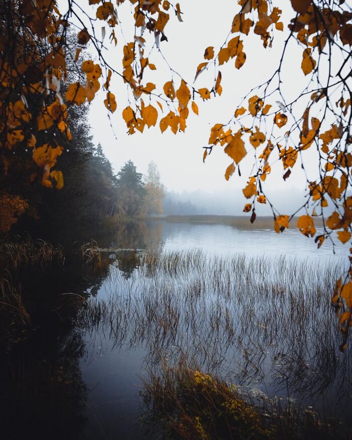 Wait, They Actually Took Pictures THIS Stunning of Finland's Northern Lights?