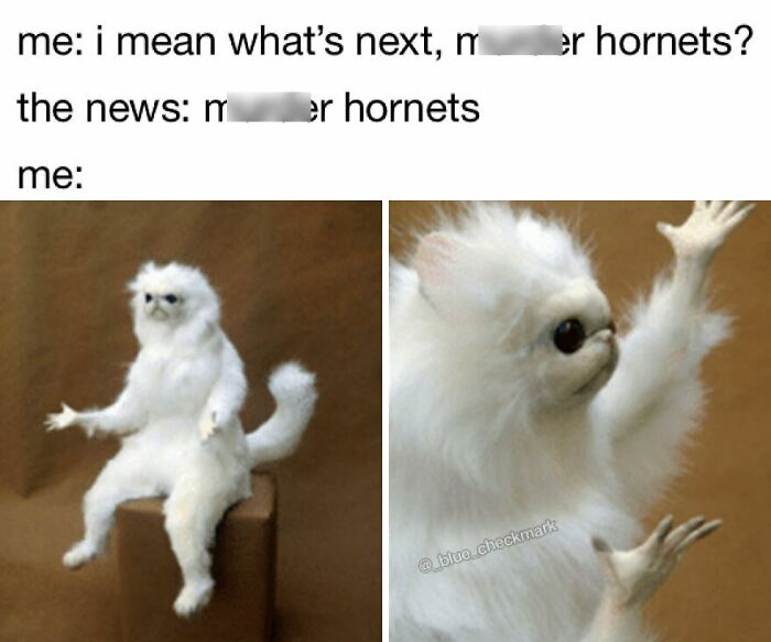 These 42 Memes Will Totally Make Your Day (No Joke!)