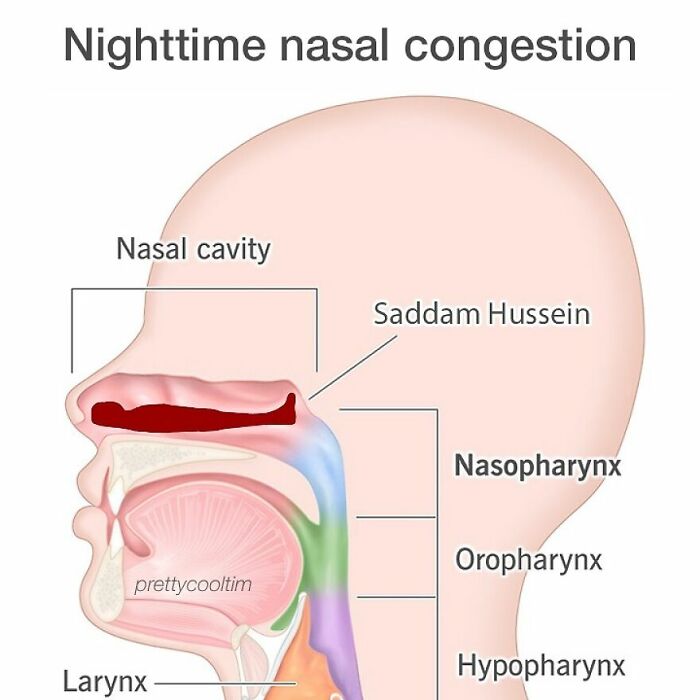 These 42 Memes Will Totally Make Your Day (No Joke!)