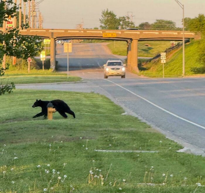 Wait, These 69 Wild Stories Actually Happened?