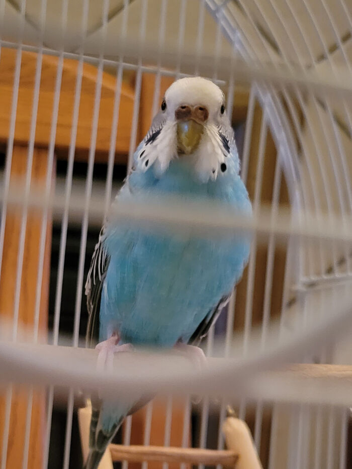 Wait, These 69 Wild Stories Actually Happened?