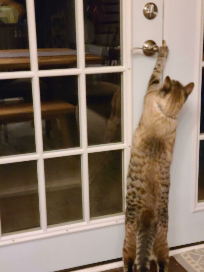 Wait, These 69 Wild Stories Actually Happened?