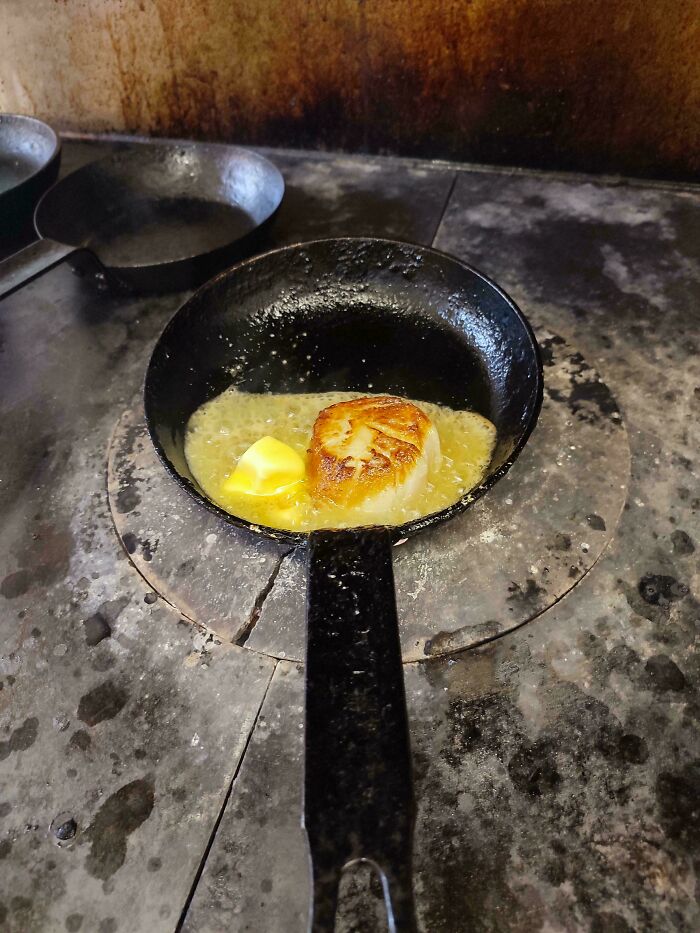 The Sauce Girl Asked Why I Fried the Cod. Scallop Explained.