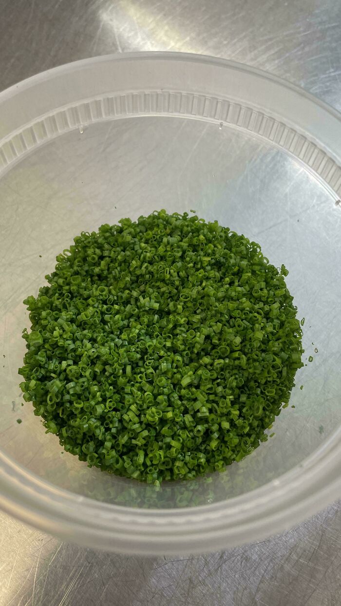 Cutting Chives Daily Until Reddit Blesses Them Perfect: Day 3