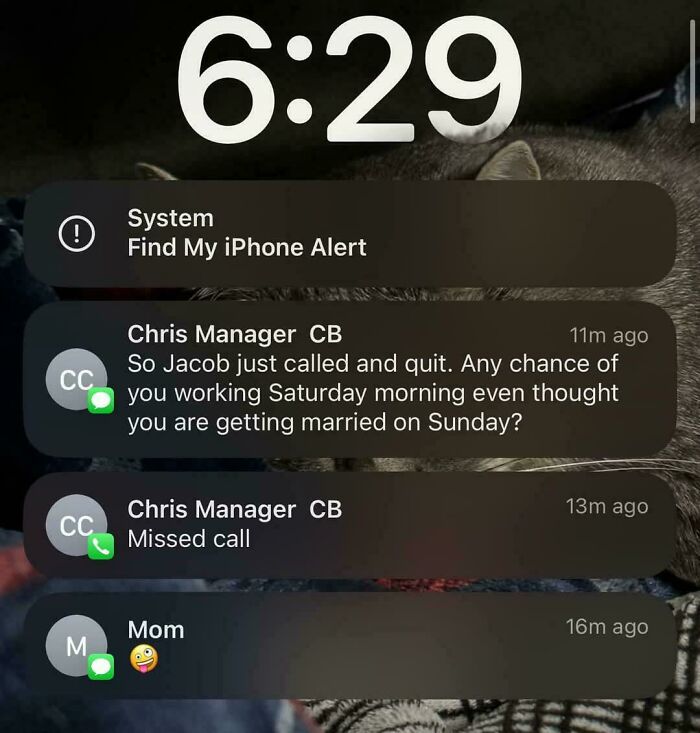 Let's Peek Inside The Crazy World Of Kitchen Confidential!