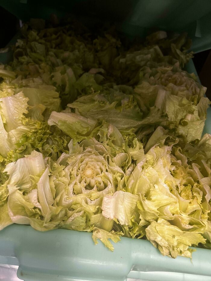 Let's Peek Inside The Crazy World Of Kitchen Confidential!