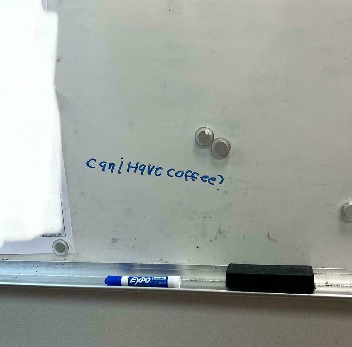 Let's Peek Inside The Crazy World Of Kitchen Confidential!