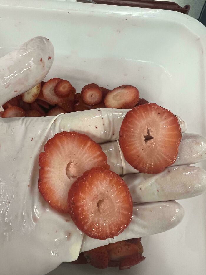 Let's Peek Inside The Crazy World Of Kitchen Confidential!