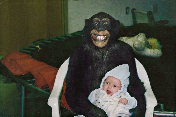 Meet Travis: The Chimpanzee Who Went From Cuddly To Terrifying