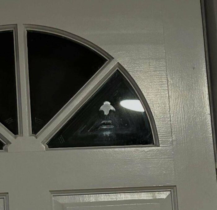 Ready For Some Seriously Weird And Creepy Pics That’ll Make You Go ‘Wait, What?!’