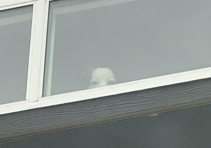 Ready For Some Seriously Weird And Creepy Pics That’ll Make You Go ‘Wait, What?!’