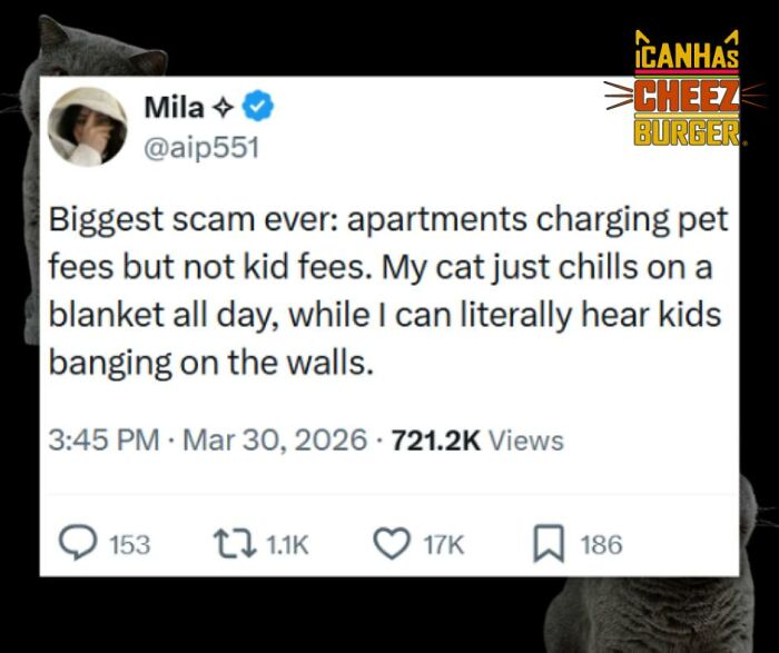 The Funniest Cat Chaos From The OG Meme Masters