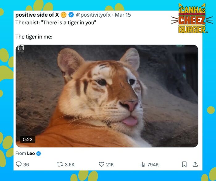 The Funniest Cat Chaos From The OG Meme Masters